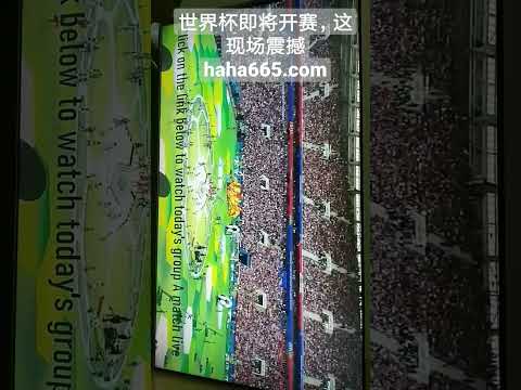 亚马尔,重要赛事中,关键进球,NG娱乐官网,NG娱乐官网入口,NG娱乐官方网址,NG娱乐国际厅,NG娱乐平台官方,NG娱乐棋牌,NG大舞台