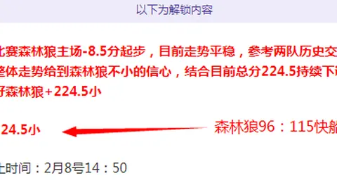 曼联揭秘：B费续约与离队之谜，悬念重重