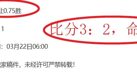 皇马高价悬念：这笔投资是否物有所值？