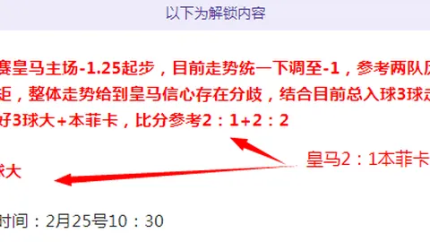 南安普顿VS伊普斯维奇，关键战专家质合分析预测